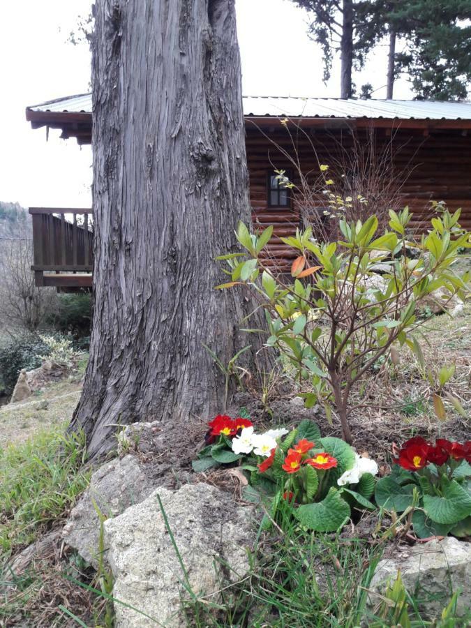 Cerro Cumbrecita Villa La Cumbrecita Bagian luar foto